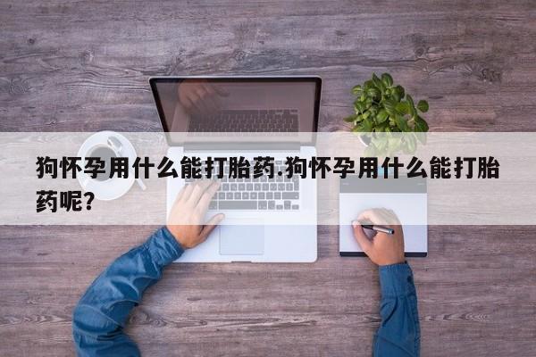 哪里有打胎药购买狗怀孕用什么能打胎药.狗怀孕用什么能打胎药呢？