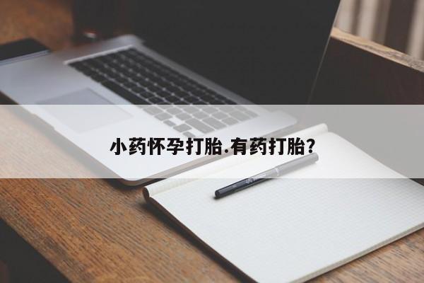 哪里有打胎药购买小药怀孕打胎.有药打胎？
