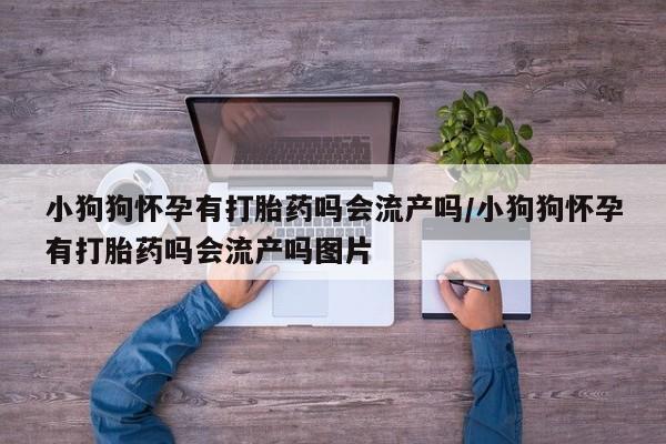 哪里有打胎药购买小狗狗怀孕有打胎药吗会流产吗/小狗狗怀孕有打胎药吗会流产吗图片