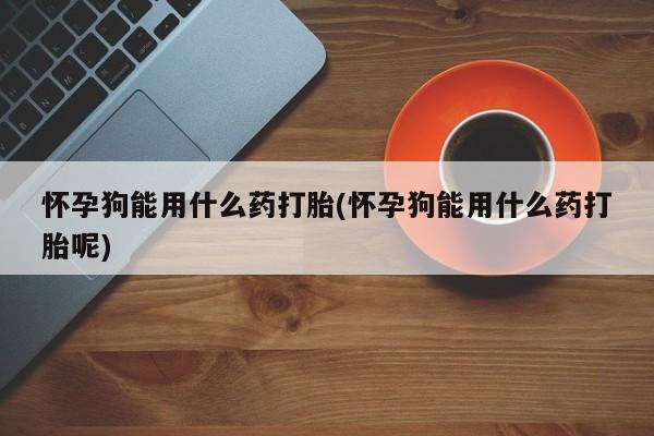 哪里有打胎药购买怀孕狗能用什么药打胎(怀孕狗能用什么药打胎呢)