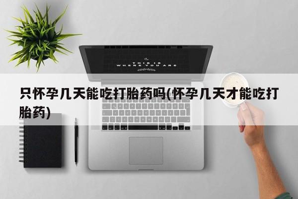 哪里有打胎药购买只怀孕几天能吃打胎药吗(怀孕几天才能吃打胎药)